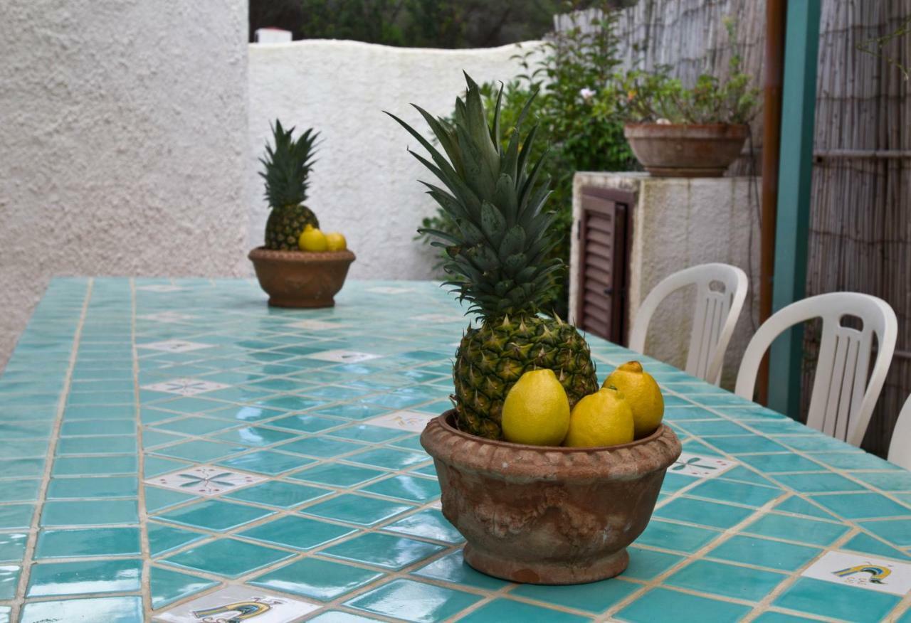 Villa Jungle House - Pineta Is Morus Santa Margherita di Pula Exterior foto