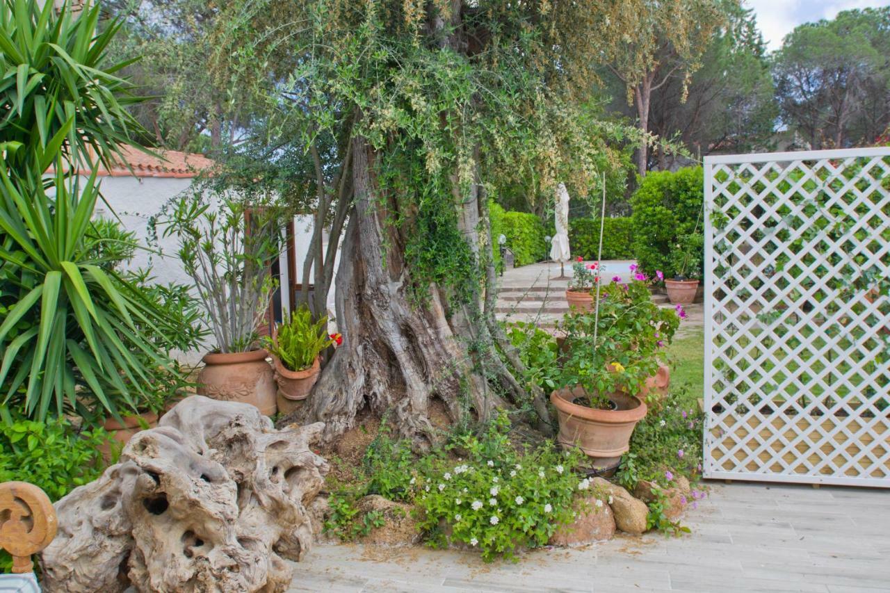 Villa Jungle House - Pineta Is Morus Santa Margherita di Pula Exterior foto